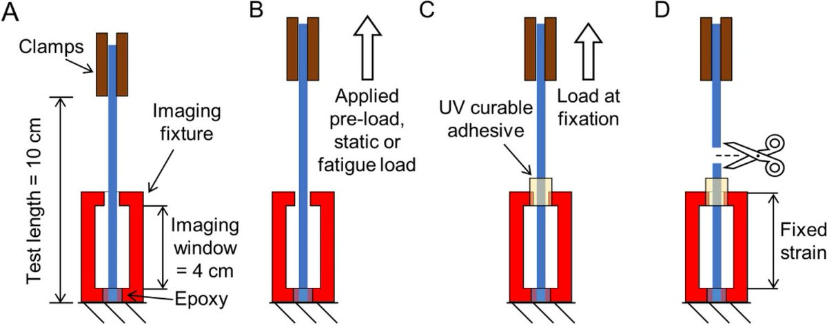 Assessment of Mechanically Induced Changes in Helical Fiber Microstructure Using Diffusion Tensor Imaging @mechseILLINOIS @BeckmanInst <a href="/ILLINOISmed/">Carle Illinois Med</a> <a href="/Carle_org/">Carle</a> <a href="/KershTBL/">Mariana Kersh, PhD</a> <a href="/robertopg14/">Roberto Pineda Guzmán</a> <a href="/BMESociety/">Biomedical Engineering Society</a> <a href="/SpringerNature/">Springer Nature</a> 

Link: rdcu.be/dD6CP