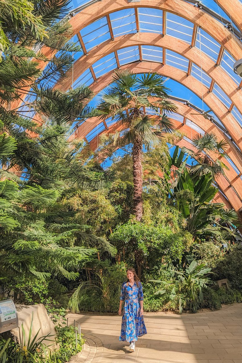 Taking a little stroll through the Winter Gardens in @VisitSheffield. What a spectacular piece of architecture and a lovely area of greenery right in the city centre! It's definitely one of my favourite spots so far. 😍ad #VisitSheffield