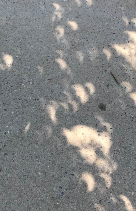 Here's what to expect from the #SolarEclipse in the DC area today. I took this pic during the last eclipse in 2017 while sitting under a tree. Just like the crescent moon is caused by the Earth's shadow on the face of the moon, the Moon will cause this crescent shaped sun.