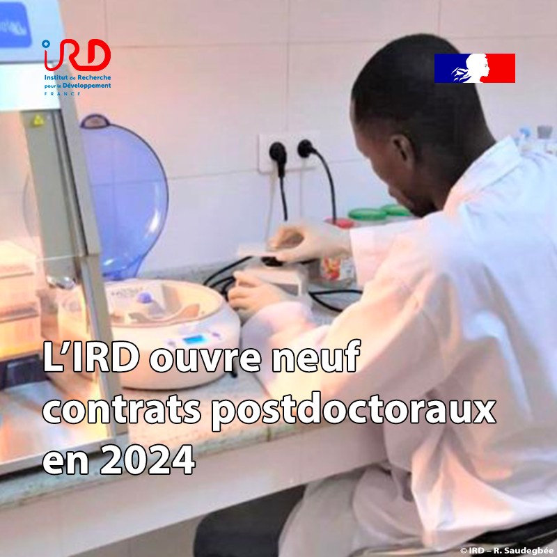 #IRDEmploi|📢9 contrats postdoctoraux ouverts à l'#IRD en 2024 🤝Les candidats sont encouragés à proposer des projets axés sur la recherche en collab. avec les pays du Sud & l'#Outremer, en lien avec 1 des 🔟 thèmes retenus 📆Candidature avant le 20/4/24 🔗ird.fr/lird-annonce-n…