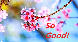 joe vampire tweet media