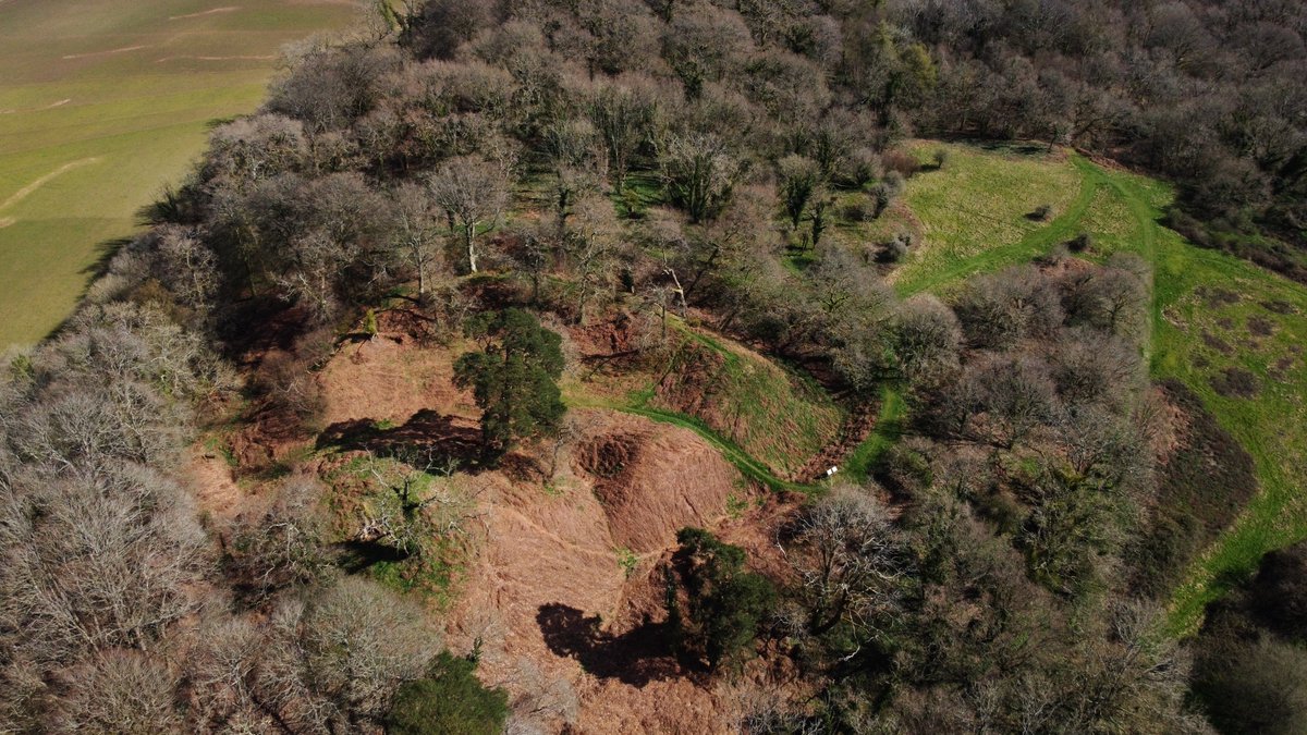 #MedievalMonday with the rather wonderful Cranborne Motte & Bailey Castle in Dorset A short 🧵 #MotteMonday