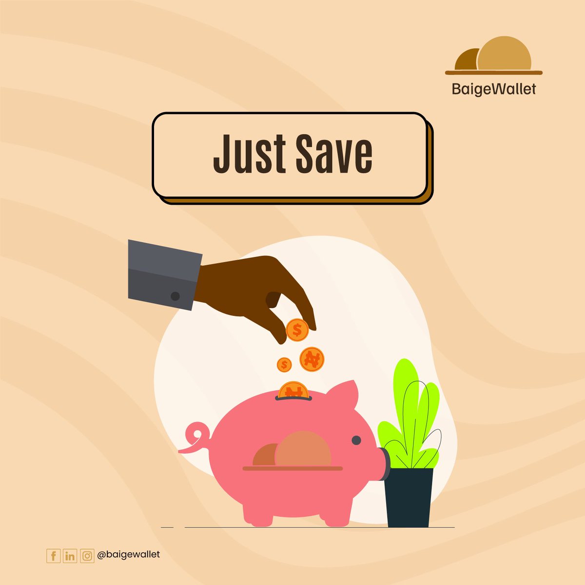 Kickstart your week on a Savings high! 
Financial freedom starts with every penny saved🤎

#Baigewallet #Mondaymotivation #investment #savings #savingtips #savingmoney