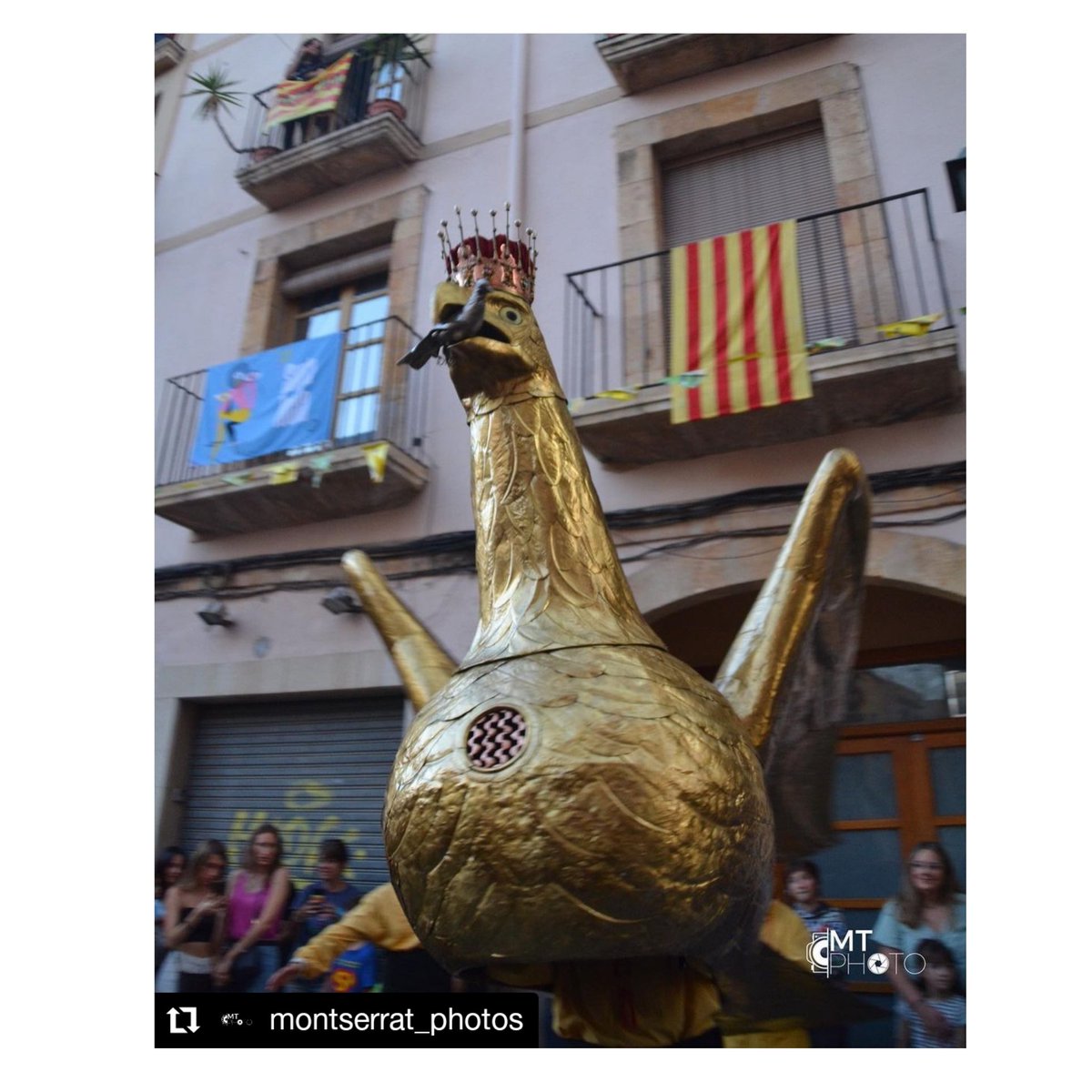 #Repost @montserrat_photos

L'Àliga
#AligaDeTarragona #AligaDeCatalunya #AliguesDeCatalunya #AliguesDelsPaisosCatalans #BallDeLAliga #DansaDeLAliga #FiguresZoomorfiques #ImatgeriaFestiva
#BestiariFestiuIPopular
#Aliga #Aguila #Aguiles #Aligues #BestiariFestiu #BestiariPopular