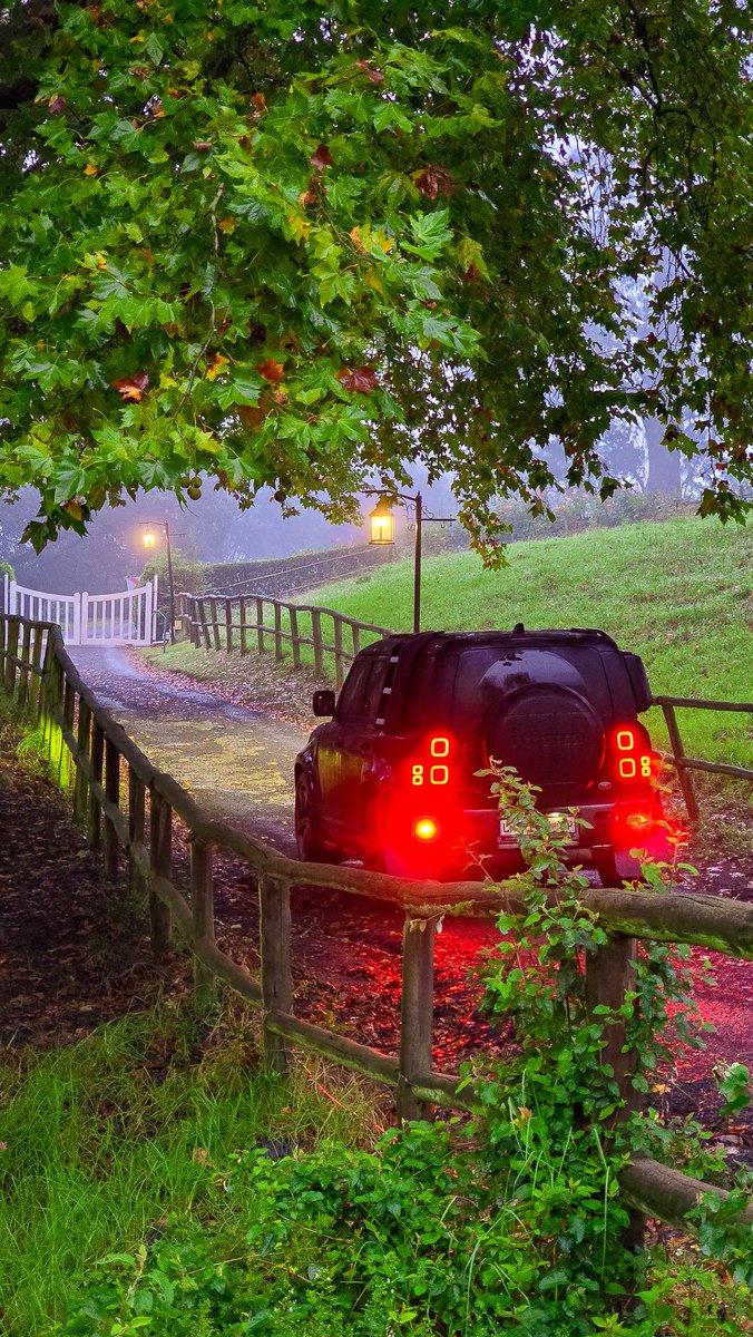 Abuti S'the tweet media