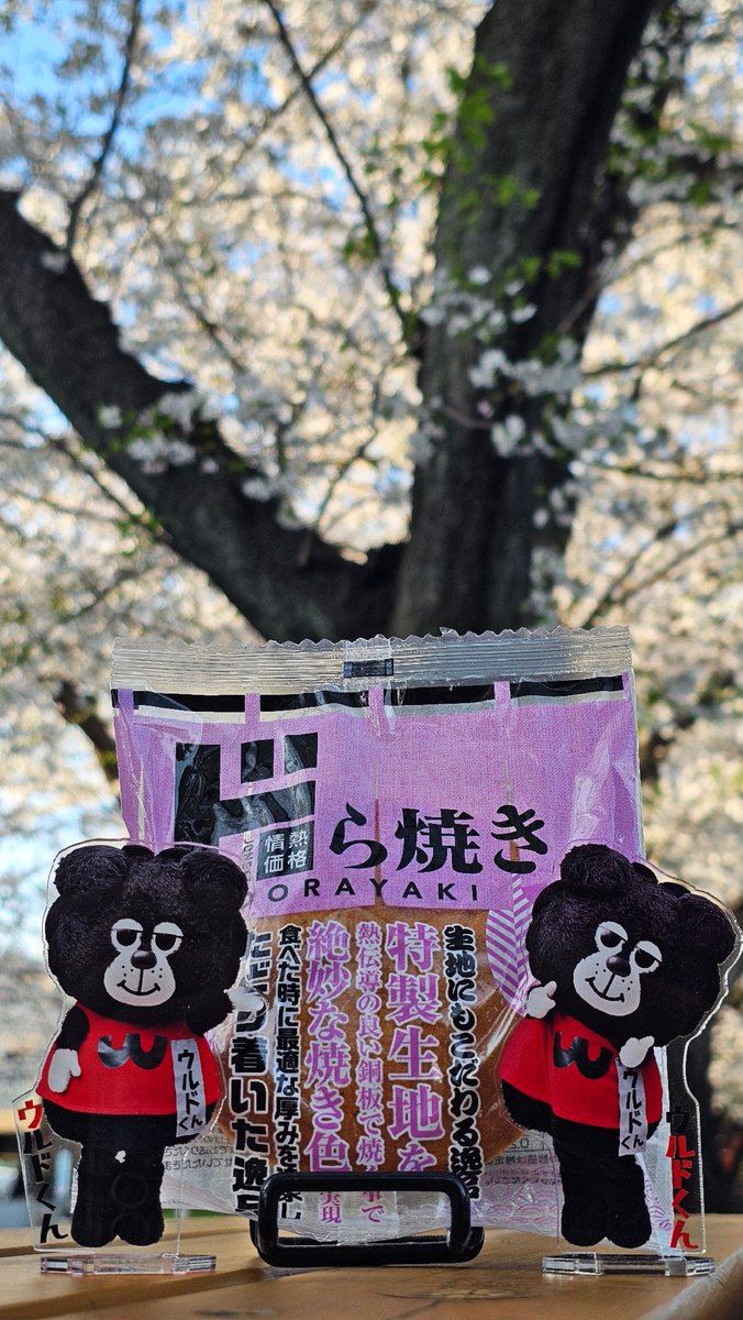 gcbkb537's tweet photo. @woldo_WDnagoya 過ぎちゃった！けど
ウルドくんとドら焼き花見してきたド☺️🌸
#ウルドくん
#ウルフドッグス名古屋
#お出かけウルドくん https://t.co/O90g5RHfz5