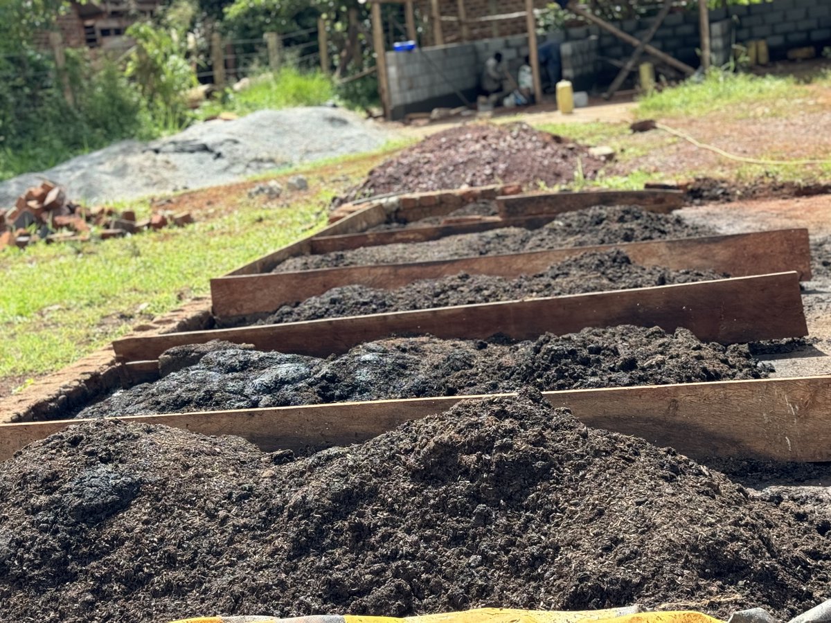 GggiUganda's tweet image. Reflecting on an insightful field visit in Jinja as part of the #womeninclimatechange mentorship program. Visited Bioconvision with the #innovativesolution of black soldier flies for waste management, transforming waste into organic fertilizer. @GggiUganda, @giz_uganda