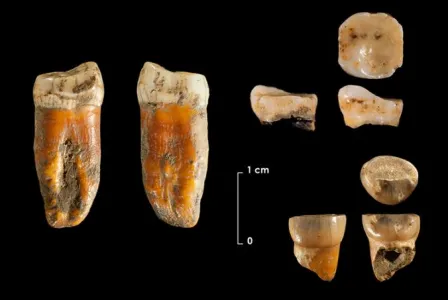 New Neanderthal remains from Axlor cave (Dima, Biscay, northern Iberian Peninsula) sciencedirect.com/science/articl…