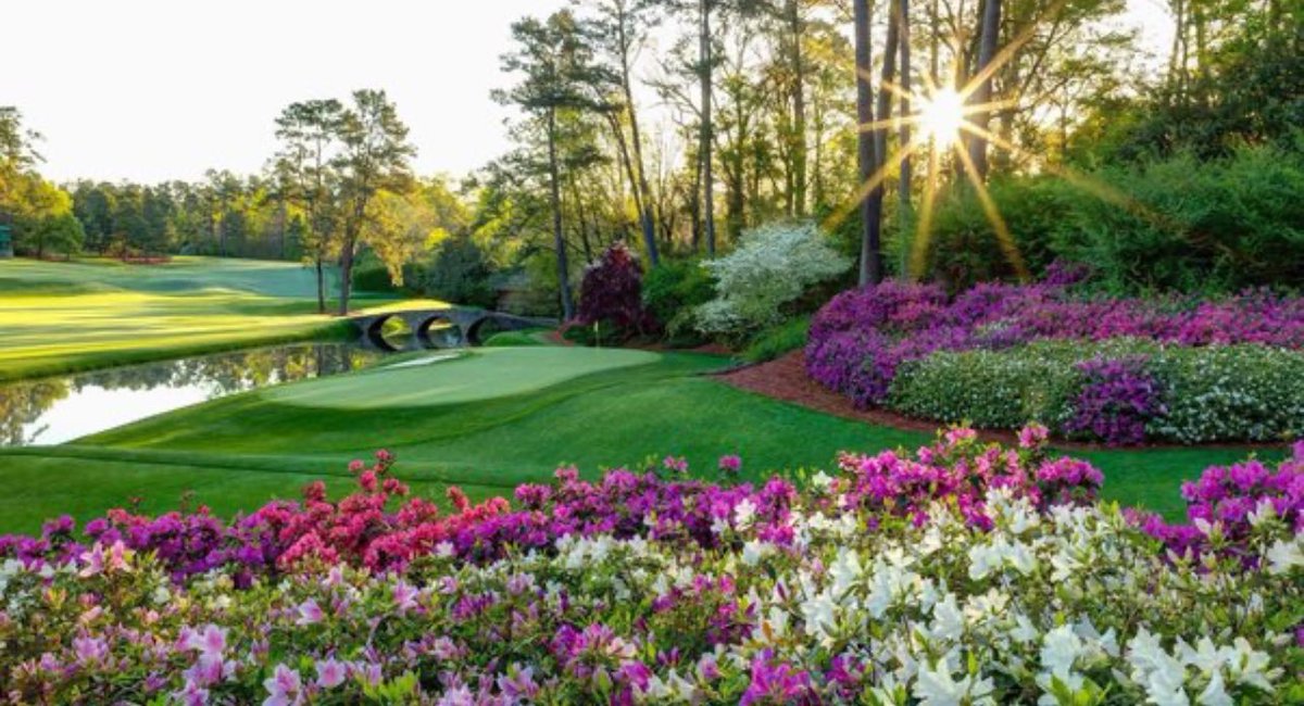 It’s Masters week! The start of the season for golfers! Can we have some of that sunshine please! 🌺⛳️