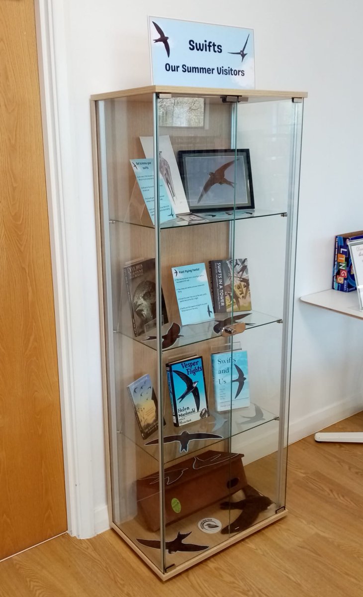 #Swifts - summer sky joy & exuberance is fading. Fewer tiny nest gaps in soffits of new/renovated buildings. Nest boxes an answer. This in #Pyle Library, S Wales. What a reading list! @WindsweptSarah @tweedpipe Helen McDonald et al. @SaveourSwifts #swiftconservation @awen_wales