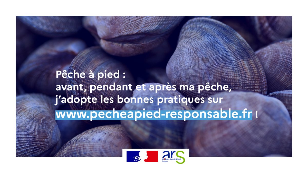 #Pêcheapied 🐚l Avant, pendant et après votre pêche, @ArsBretagne renouvelle ses conseils de prudence : se renseigner sur la qualité sanitaire de son site de pêche, consultez la météo & les horaires des marées, respecter les tailles et quotas... 📲 pecheapied-responsable.fr/fr/bonnes-prat…