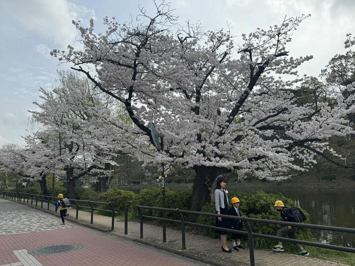 入学式日和の今日、私も筋トレ&amp;ランをスタート。しっかり働ける身体と登山シーズンに向けての体力作り💪🏻🏃‍♂️