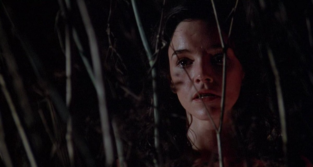 El cine de la década de los 70 tiene un sello muy característico, las películas podían llegar a ser muy crudas cuando los guionistas se lo planteaban, 10 títulos de dicha década que son joyas: