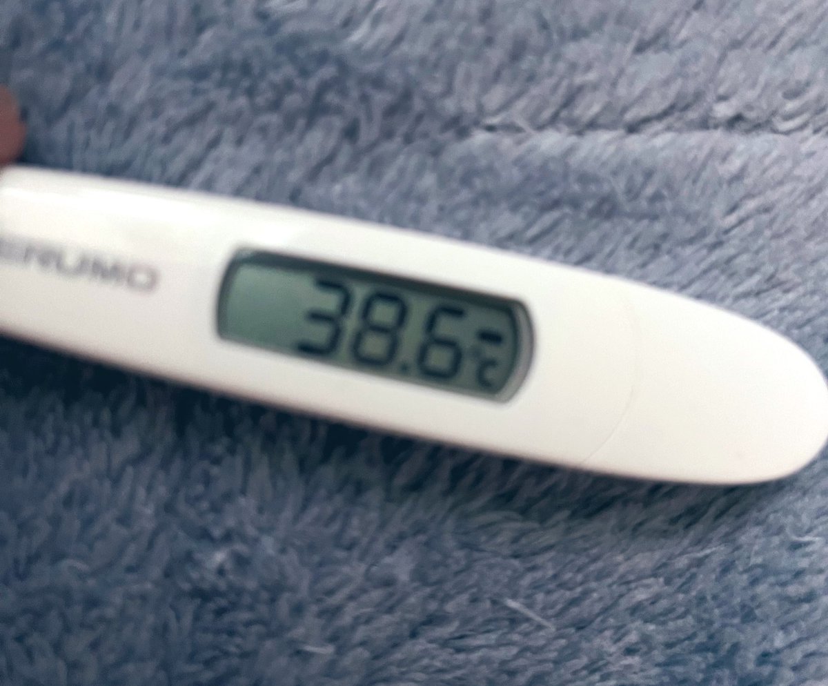 ゆんママ（マ'ω'マ) (@kosugiyunmama) / Posts / X