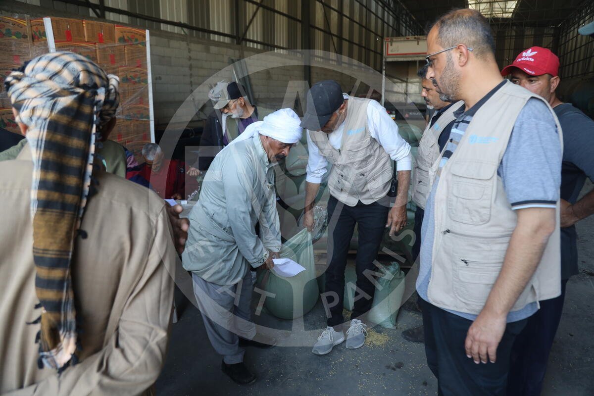 Immediate access to agricultural supplies🌱🚚 is crucial to restarting local food production and prevent famine and extreme malnutrition in #Gaza. Logistical hurdles, like entry permits, remain a challenge. @FAO is committed to overcoming barriers for essential aid delivery.