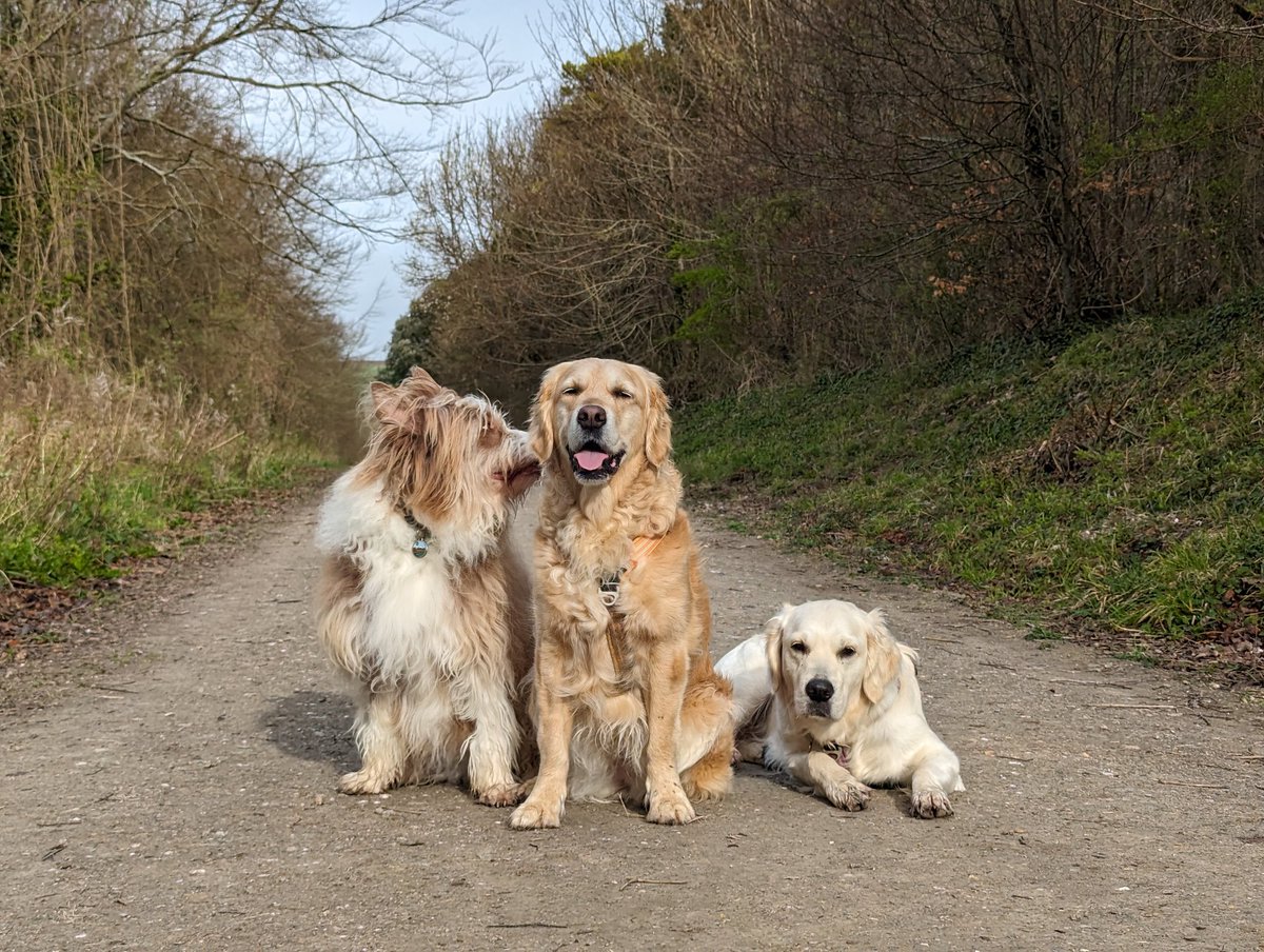 Phoebe is telling Martha a joke, Niamh suspects it might be about her 🤣