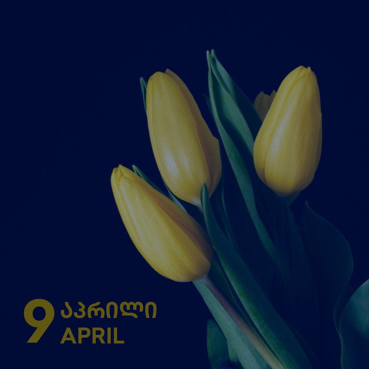 Georgia paid a high price on 9 April 1989 while being liberated from the Soviet rule. Many Georgians have sacrificed their lives for independence. We honour their legacy.