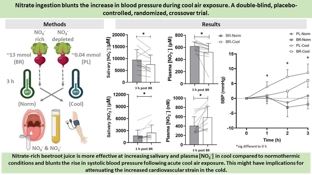 Our latest paper is now online ahead of print in @japplphysiol 👀 Ingestion of nitrate-rich beetroot juice attenuated the rise in systolic blood pressure observed following 3 h in a cool environmental chamber at rest 🥶 🔗 doi.org/10.1152/japplp…