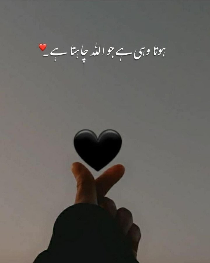 i_areeba_i's tweet photo. ❤️ https://t.co/BQAfaecbJ2