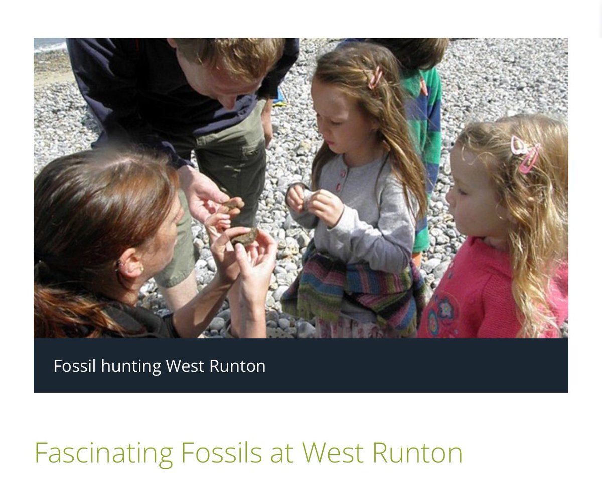WestRuntonBeachCafe (@westruntonbeach) on Twitter photo Fossil hunting with <a href="/NorfolkWT/">Norfolk Wildlife Trust</a> here tomorrow, book your place here eventbrite.co.uk/e/fascinating-… Fossil hunting with <a href="/NorfolkWT/">Norfolk Wildlife Trust</a> here tomorrow, book your place here eventbrite.co.uk/e/fascinating-…