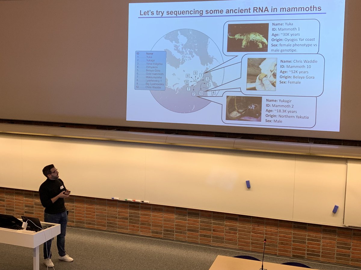 🤩Next up is @evohologen postdoc @MarmolE6 presenting his exciting research in #ancientRNA expression profiles from #extinct animals such as the woolly #mammoth 🦣🧬 💡Emilio also shares his insights into the world of #ancient #RNA #research 👏