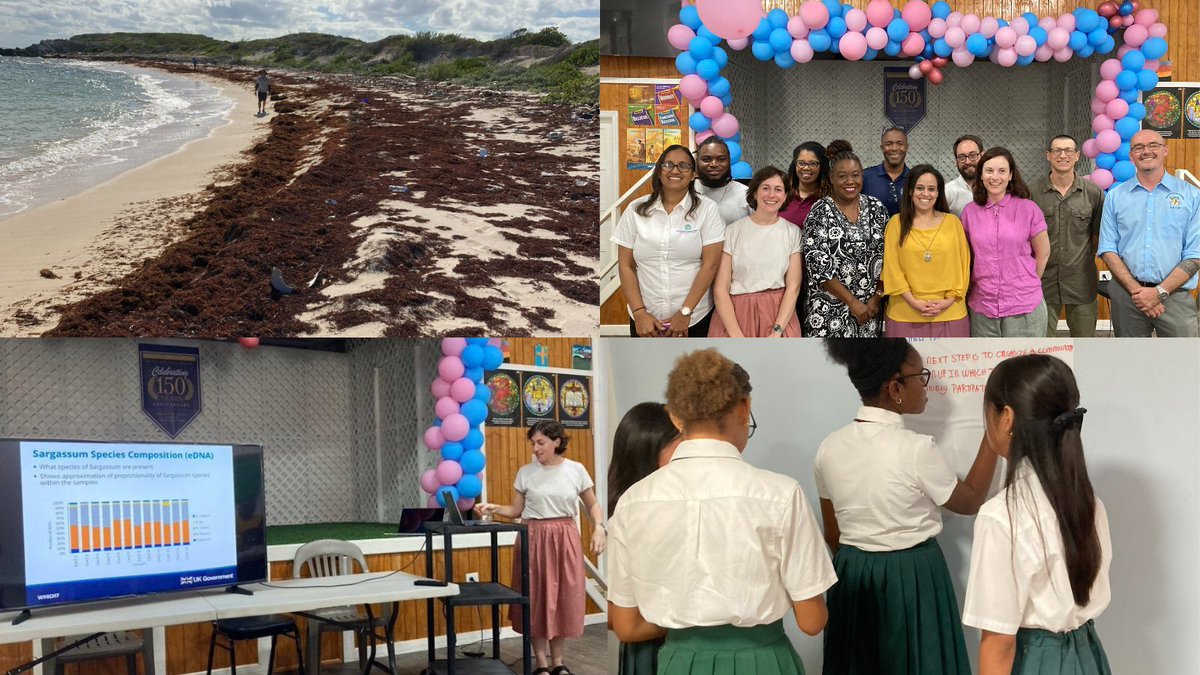 Influxes of sargassum in recent years has posed challenges for communities across the Caribbean. A Blue Belt team recently travelled to Turks & Caicos to support the delivery of workshops on addressing these influxes. Read more in our new blog 👇 thebluebeltprogramme.blog.gov.uk/2024/04/08/add…