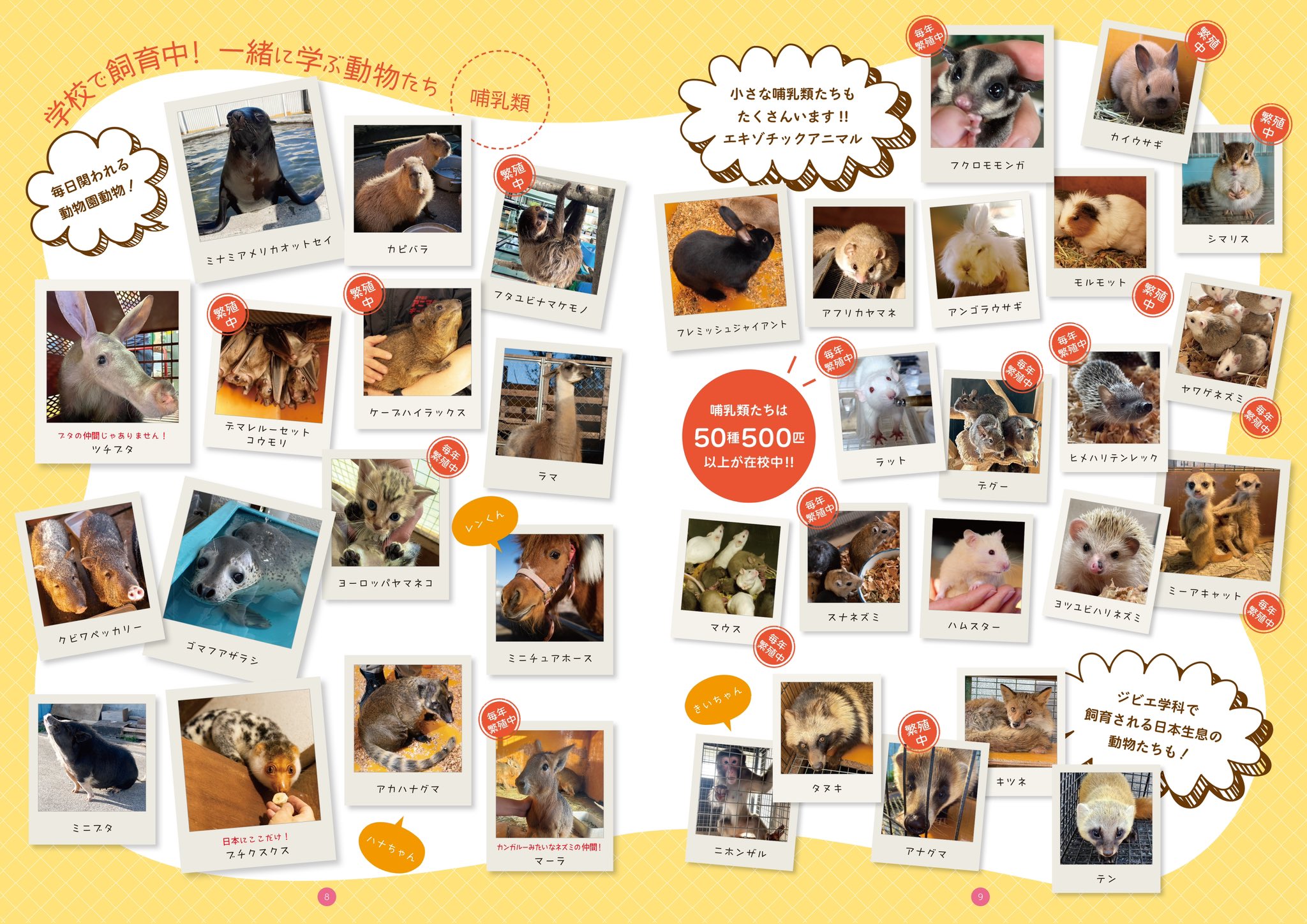 動物園学 | 村田 浩一, 楠田 哲士 |本 | 通販 | Amazon