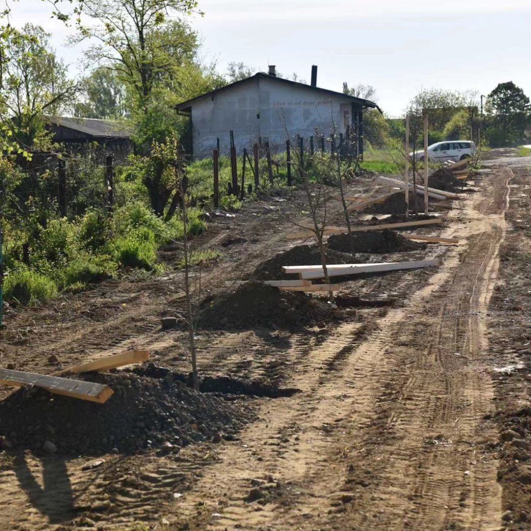 Хвала донаторима садница за Улицу кнеза Иве од Семберије:

1. Зоран Василић
2. Мега дрво д.о.о. Бијељина
3. Јовица Давидовић
4. Гордана Илић
5. ЗЕВ Кнез Иво од Семберије
6. Машине и алати
7. Стеван Чукић
8. Бранка Благојевић
9. Јелена Радић
10. Бост д.о.о. Бијељина