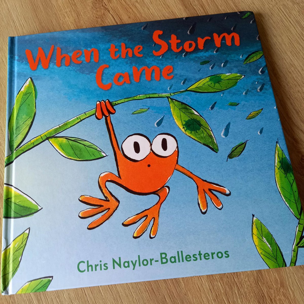 Congratulations to @madaboutbooks, @melissacreate15 and @a_wills87 - you'll be getting a signed copy of 'When The Storm Came'! Could you please DM or email me to sort out the deets? 📗🏆🐸