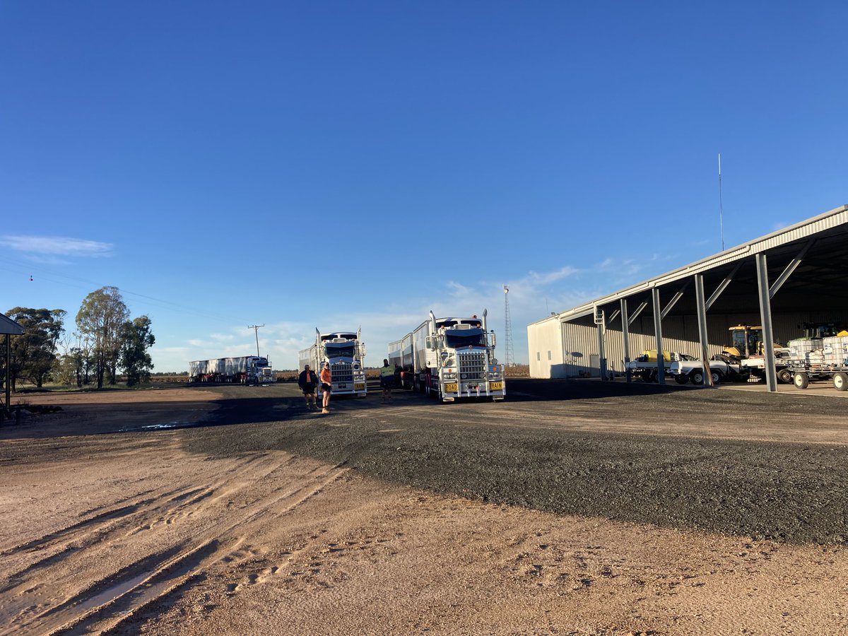 Highway back open this morning these three waiting for a load, another 225t of sorghum out the gate