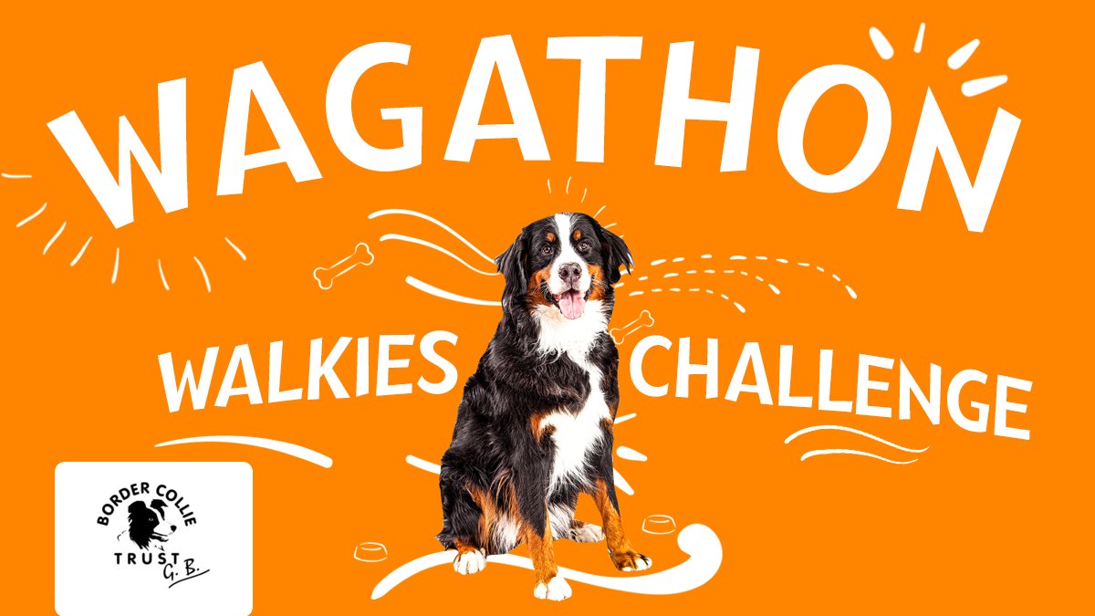 Charlie is busy signing supporters up so grab the lead and your shoes and take on a walkies challenge for Border Collie Trust G.B. with your pooch! You choose the distance and terrain! Set up your Fundraising Page to get started > donate.giveasyoulive.com/campaign/wagat…