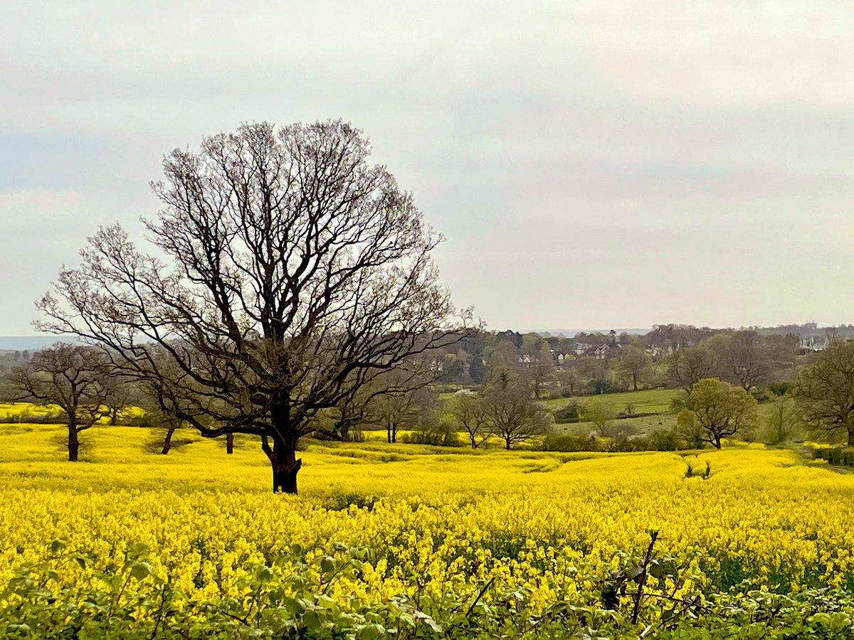 A huge thank you to <a href="/camdentories/">Camden Conservatives</a> Amanda Eliades and @cfoalbania for hosting a fabulous Women’s breakfast fundraiser. 

Great to hear from Rt Hon Theresa Villiers MP and from many of Barnets residents.

<a href="/WestLodgePark/">West Lodge Park</a> <a href="/BarnetTories/">Barnet Conservatives</a>
