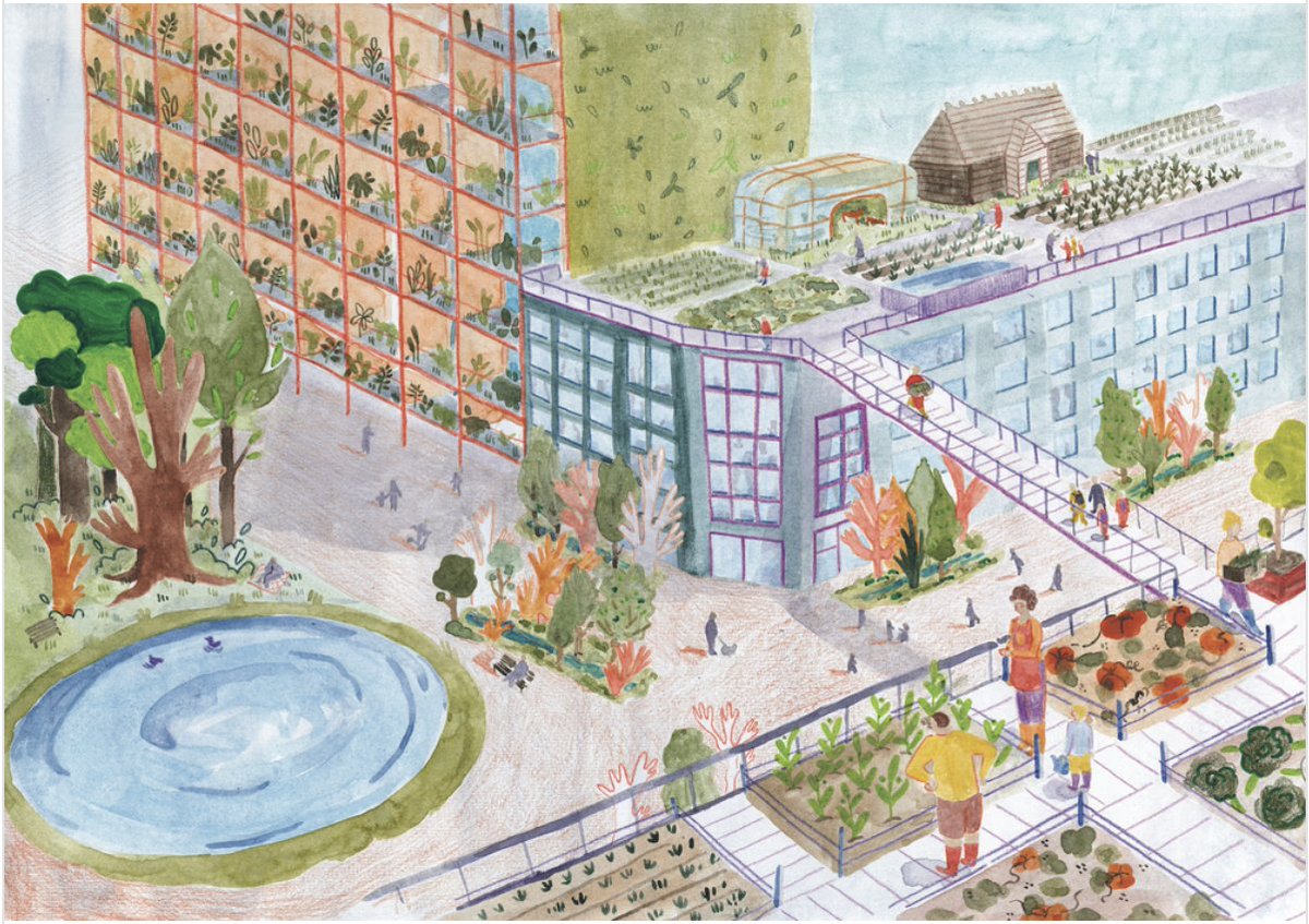 Citizen Spring tweet media