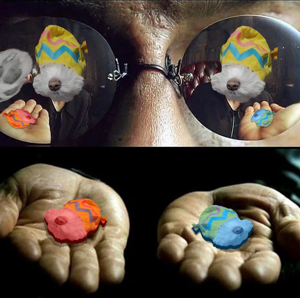 <a href="/blknoiz06/">Ansem</a> If and when you do! I keep pushing out $Duchi to you. The followers and yourselves needs to know about #duchi, knowing it's the brother of $Wif and $bag is a no brainer to where it's going. Created by none other than Ma_Babezz. 

<a href="/DuchiWifHat/">DuchiWifHat</a>