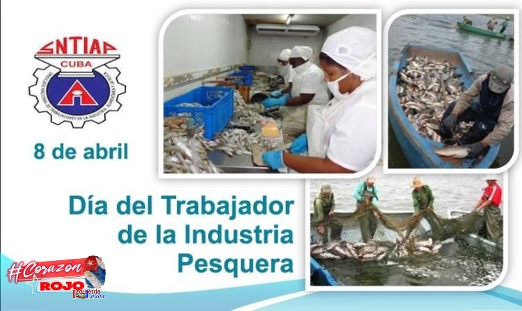 El 8 de abril de 1972 fue constituido el Sindicato Nacional del Trabajador d la pesca, quedando registrado en la historia d #Cuba como el día del Trabajador d la Industria Pesquera. Para todos sus trabajadores, “ Muchas felicidades”. #IzquierdaLatina #CorazónRojo @DeZurdaTeam_