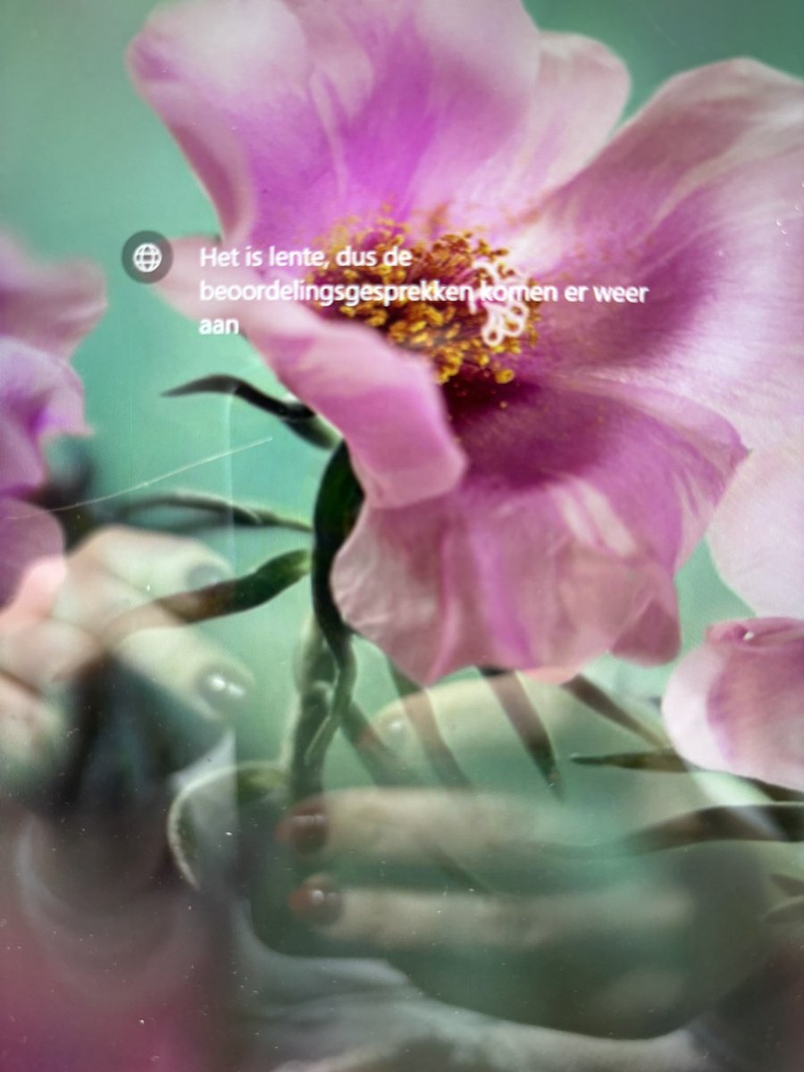 FleurWillemsen's tweet image. Precies mijn associatie op deze zonnige maandag!!
