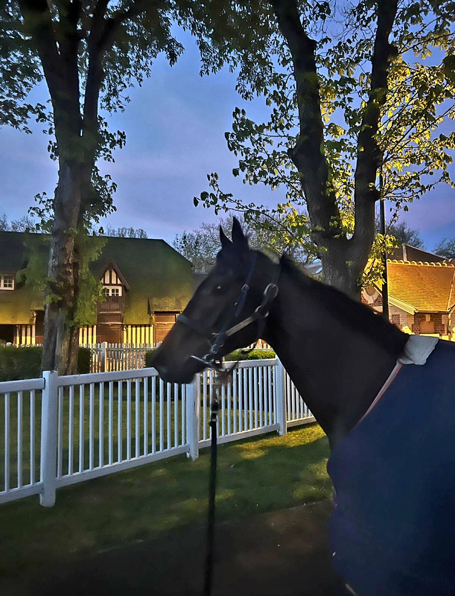 Korker has arrived in Deauville ahead of tomorrow's race against his twelve 🇫🇷 rivals.