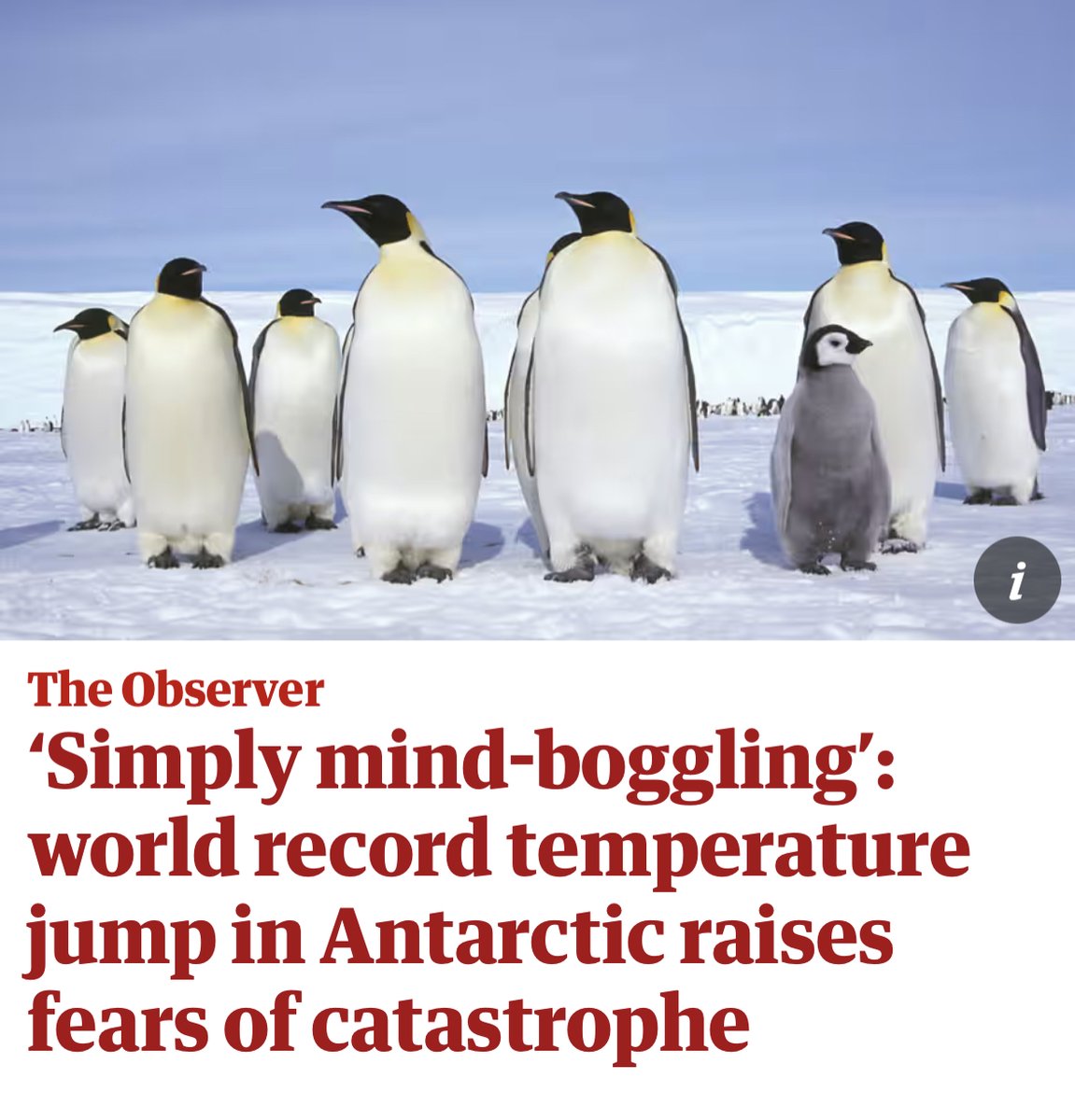 🚨 Antarctica just recorded the largest jump in temperature ever recorded on Earth. While the world suffers unprecedented heat records, governments like the UK continue to double down on climate-heating fossil fuels. They're burning our future, and we need to stop them.