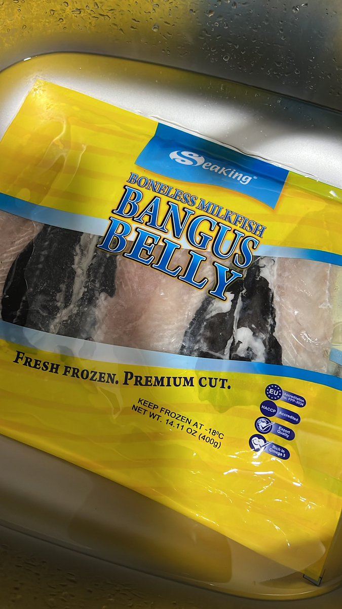 タカラ貝　ダバオ タカラ貝 ダバオ