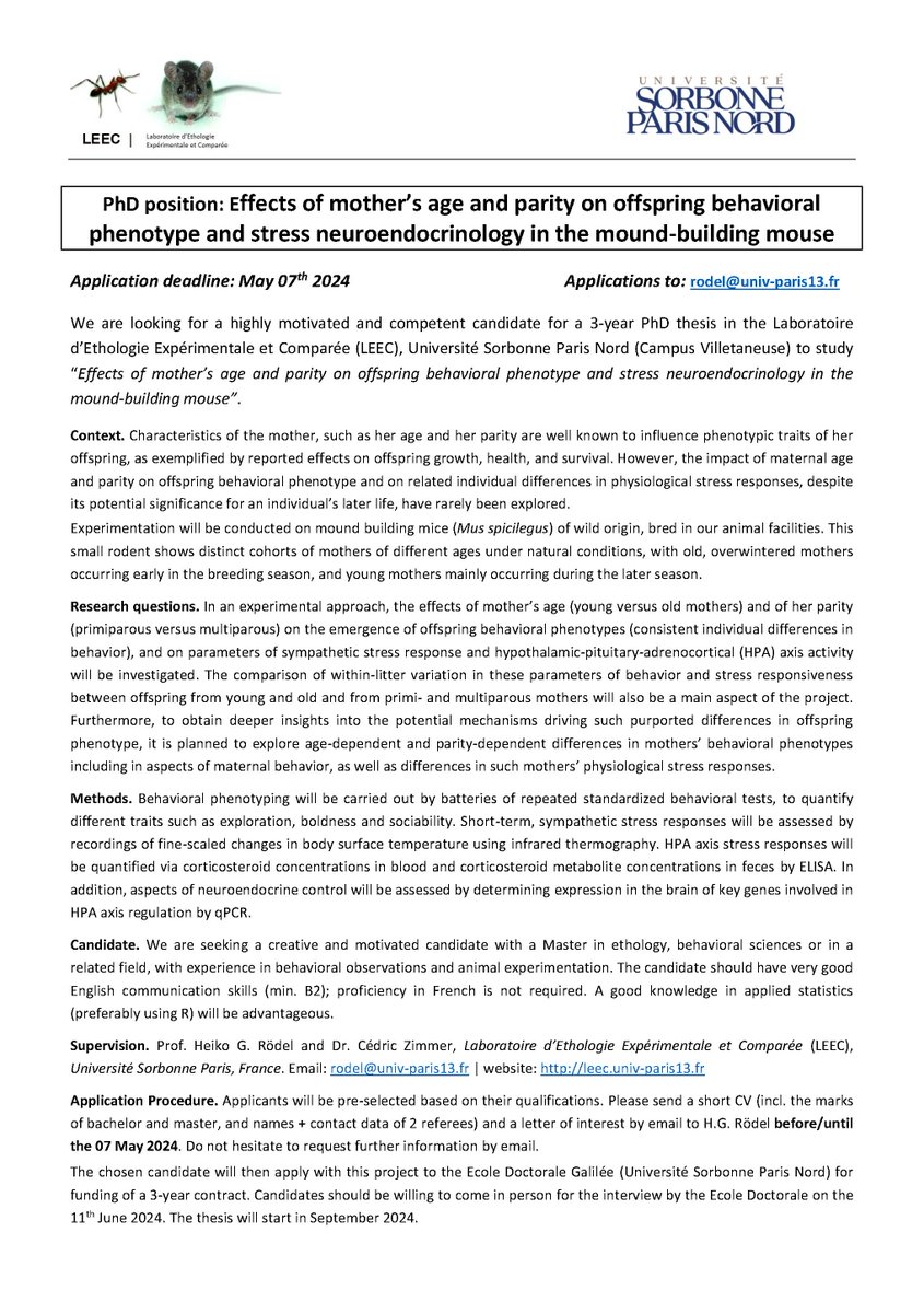 ⚠️📢PhD opportunity/offre de thèse @LEEC_USPN with Pr. Rodel and myself on maternal age effect on behavior and stress neuroendocrinology  in the mound-building mouse.
🕗deadline May 7th 
#PhD @asab_org @EthologyScience @EthoGes