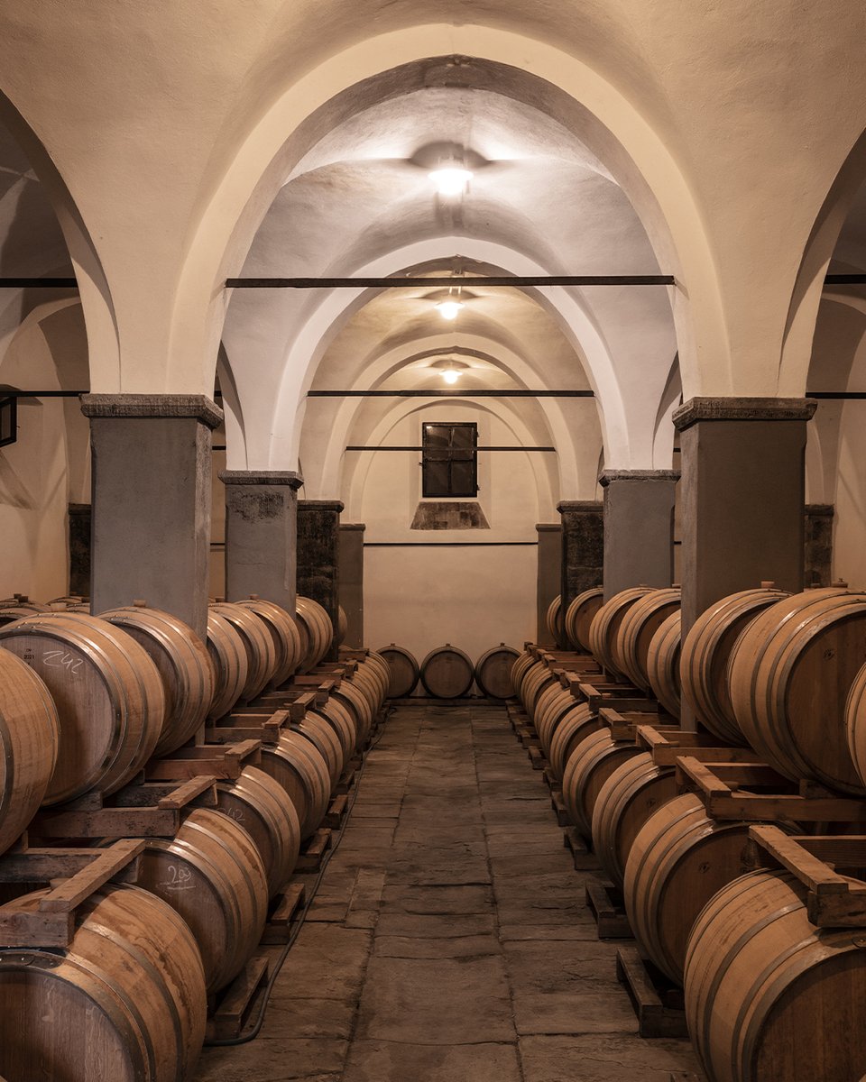 Inside Castello Pomino's barrel cellar, the apparent calm hides time's majestic work.

#Frescobaldi #MarchesiFrescobaldi #ToscanaDiversity
