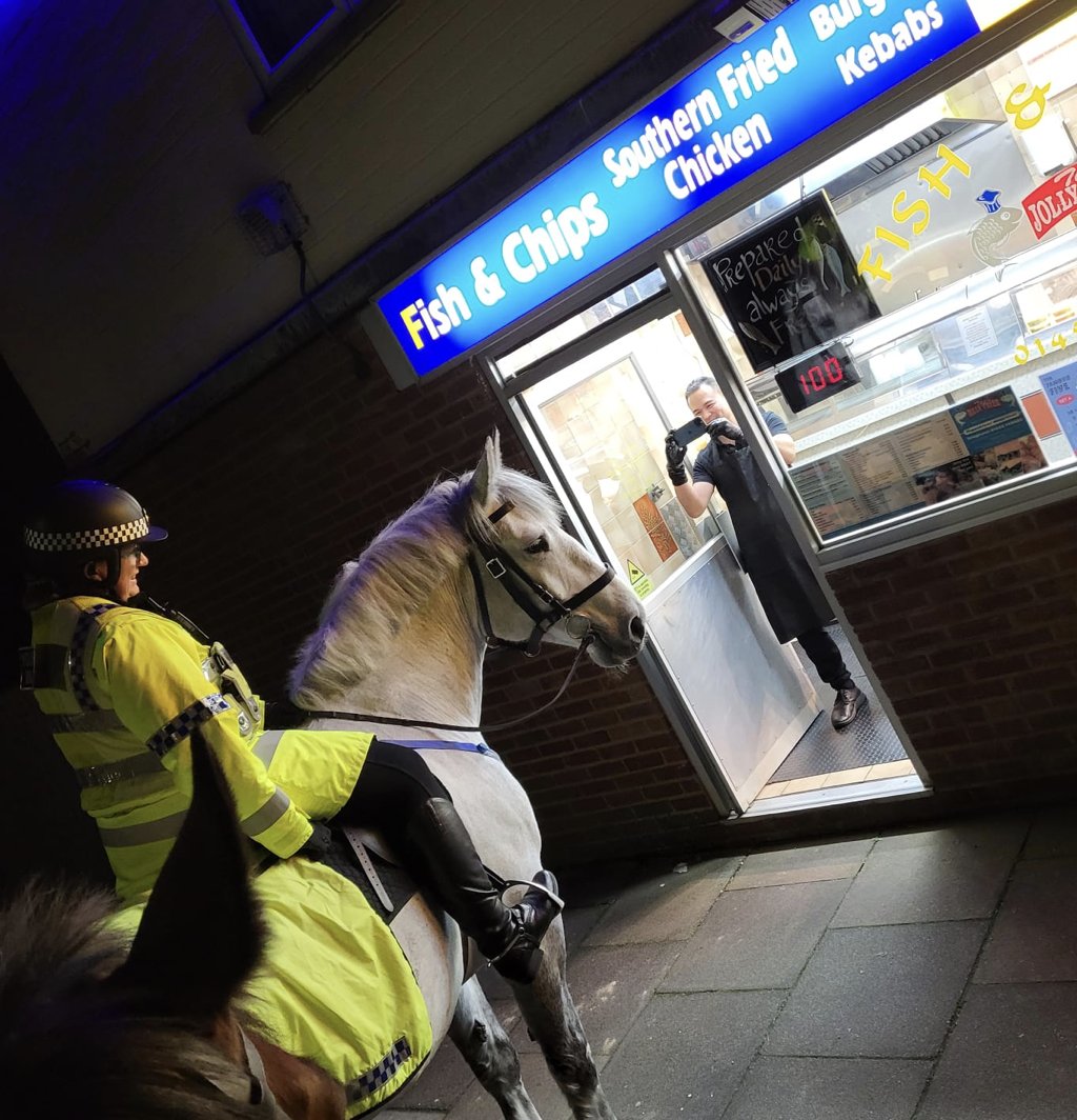 Hay and chips? PH Fairford from @GlosHorsePol clearly couldn't resist the waft of chippy on his first-ever after-dark patrol. His team said he dealt with his first nighttime assignment like a pro! Nice one, PH Fairford! orlo.uk/Ld3ta