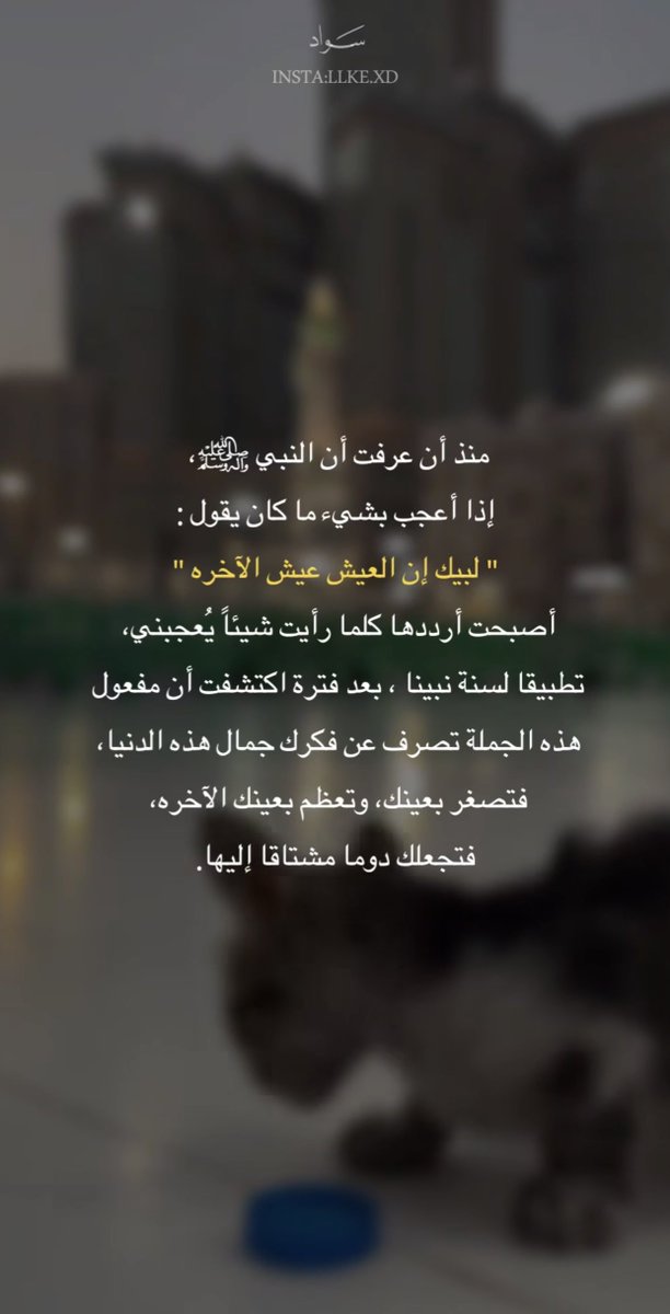 . tweet media