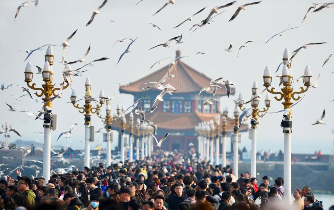In the Zhanqiao Scenic Area of #Qingdao City, #Shandong Province, tourists can intimately interact with black-headed gulls🌊, enjoying the pleasant springtime together.🌞 #HappyTourAcrossShandong (Photo by Wang Haibin, Xinhua News Agency)