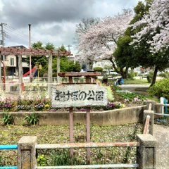 蕨市にあるあけぼの公園の立て札「あけぼの公園」と毛筆で書かれている。そのうしろには花壇と桜があり、空は暗雲が垂れ込めている
