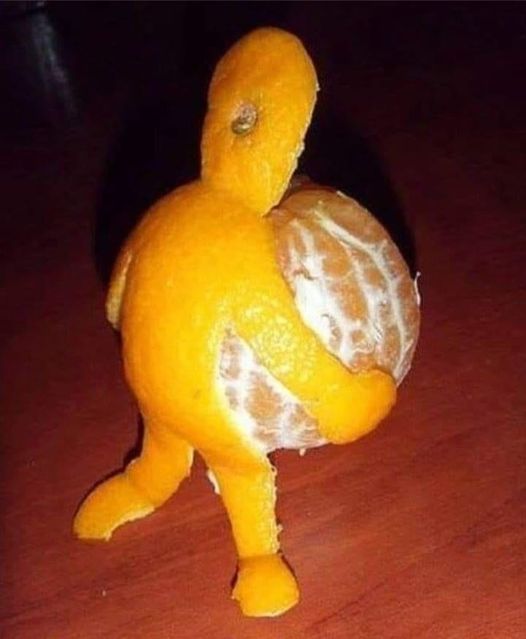 leo_veritas's tweet photo. Con el precio de las 🍊 algunas salen disfrazadas.
Un poco de #HumoryDolor.
#FelizLunesATodos https://t.co/zv7CD5pFYg
