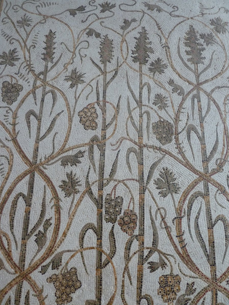 From a T-shaped panel (therefore flooring a triclinium, with the three couches fitted around this shape) showing millet and grapes. You would see this as you entered the room, evoking the food and wine you were about to enjoy. From Oudna, now in The Bardo, Tunis. #MosaicMonday