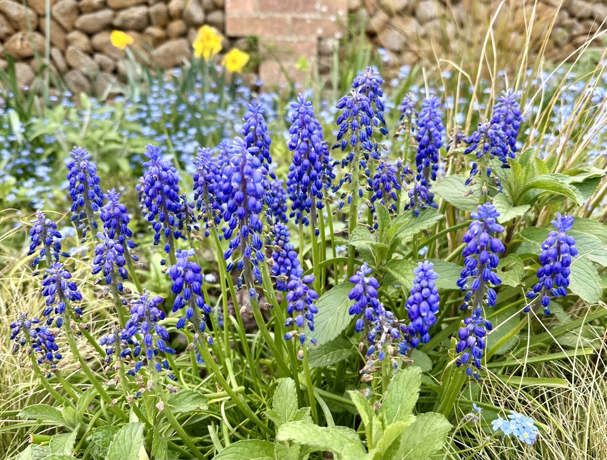 Coffee time ☕️☕️🌺 - Norfolk (#elevensestime)