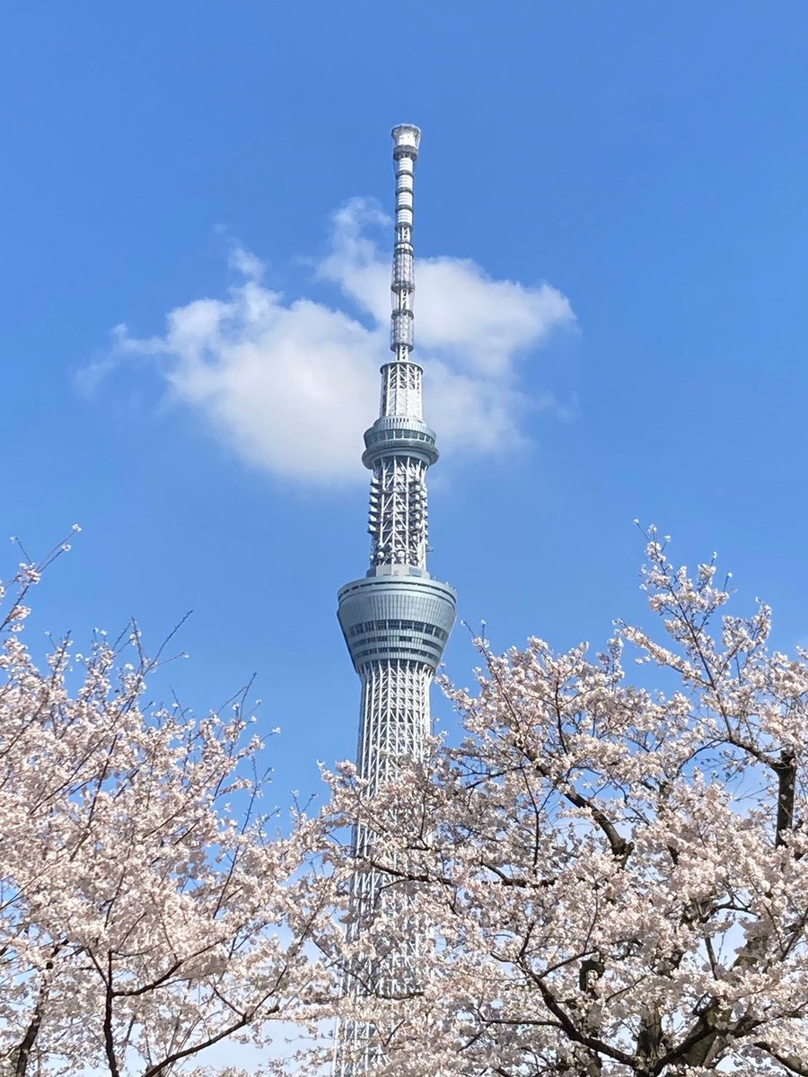 Yuka🇯🇵 tweet media