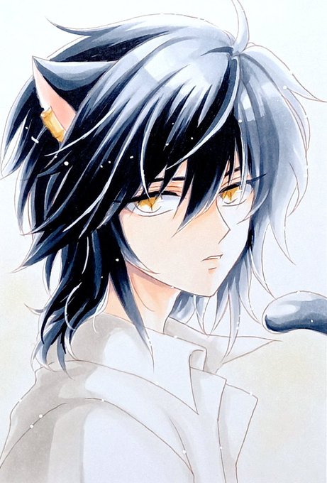 「cat boy hair between eyes」 illustration images(Latest)